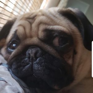 Meet your Posher, Gisella